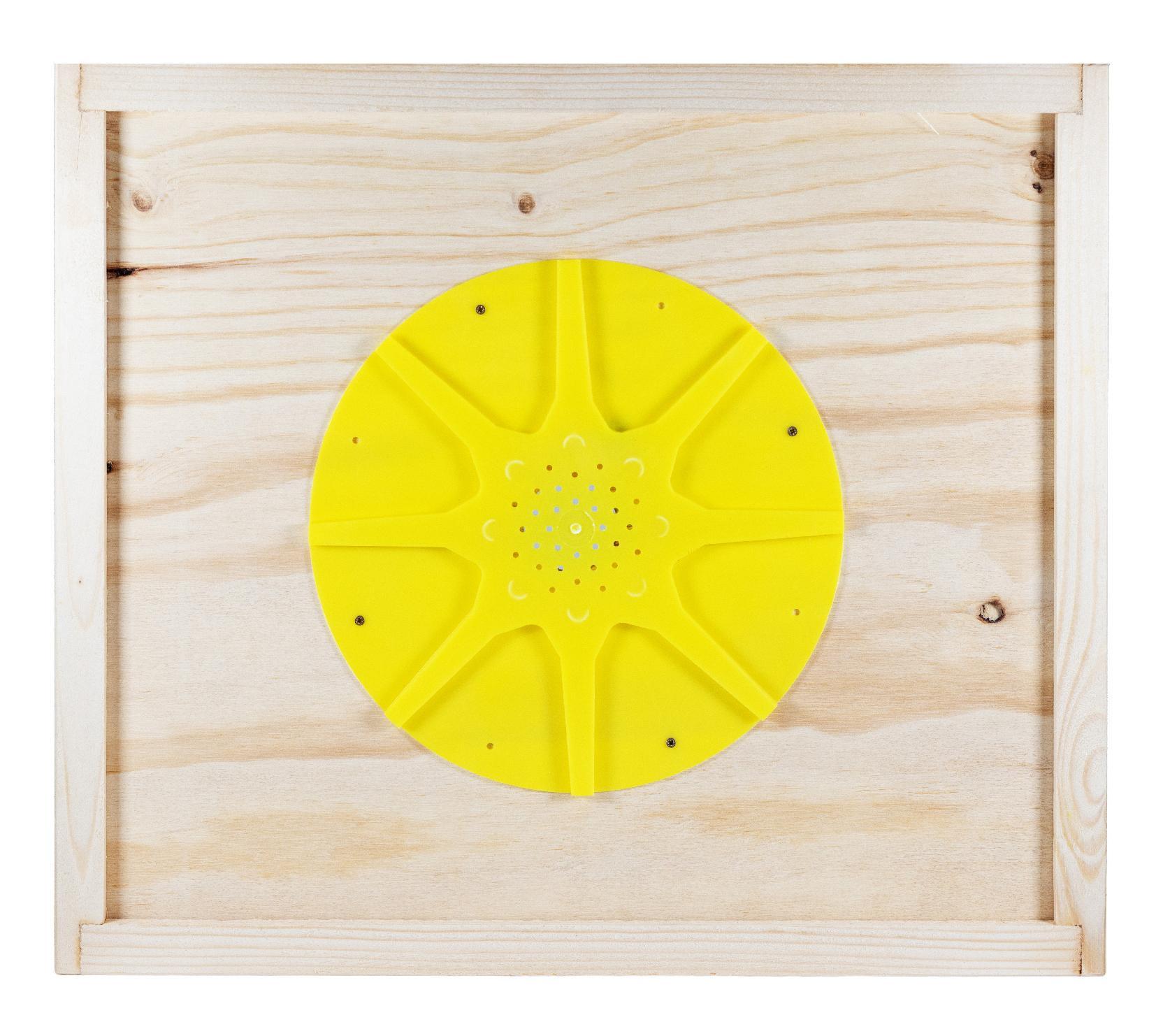 Tavoletta apiscampo 8 uscite per arnia da 10 telaini vista frontale