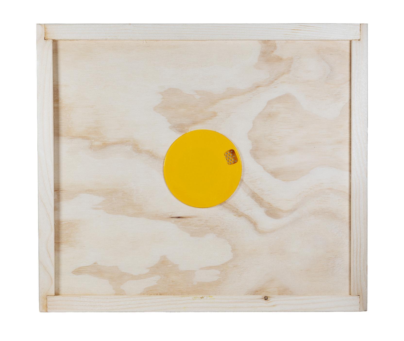 Tavoletta apiscampo per arnia 10 telaini vista frontale con disco centrale