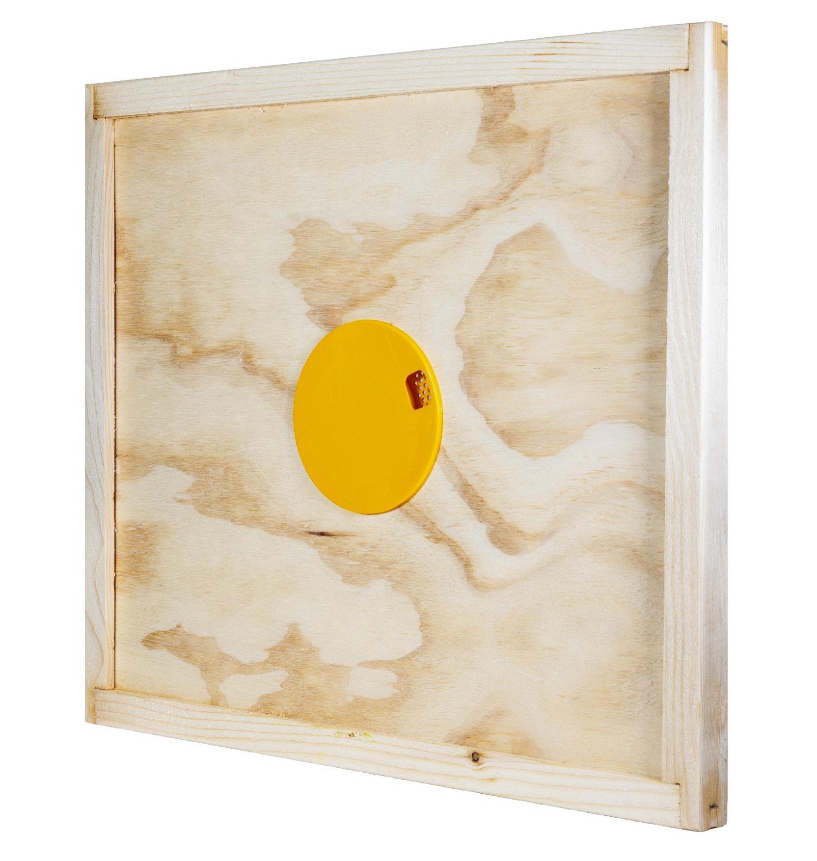 Apiscampo su tavoletta legno vista angolare con dettaglio disco