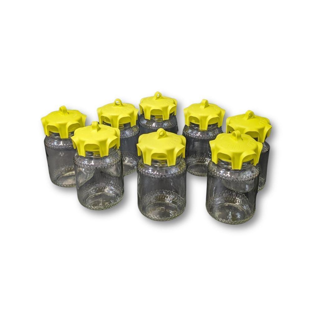 Set di otto trappole cromotropiche con vasi in vetro e coperchi gialli