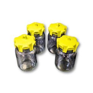 Kit completo trappole per calabroni e vespe (conf. 4 pz)